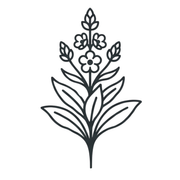 Logo de Airovine